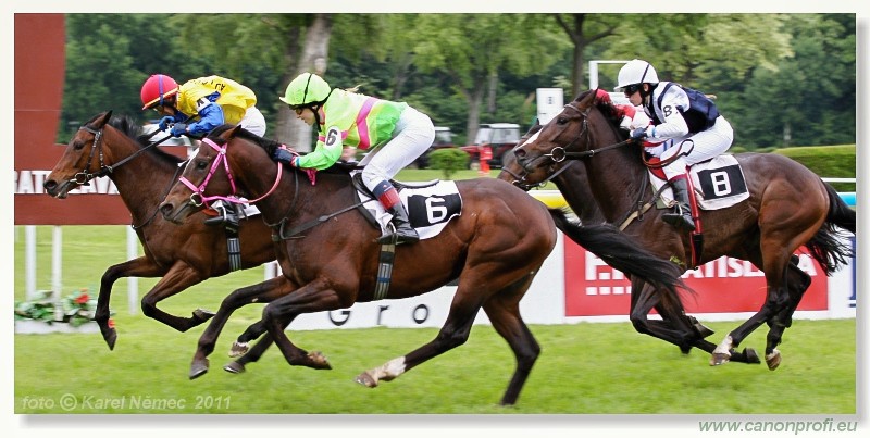Bratislava - 15. mja 2011 