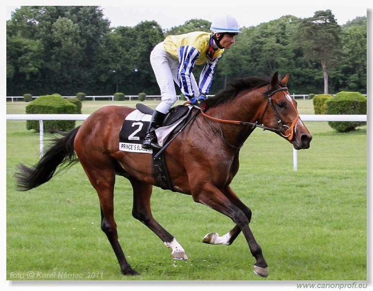 Bratislava - 5. jna 2011 