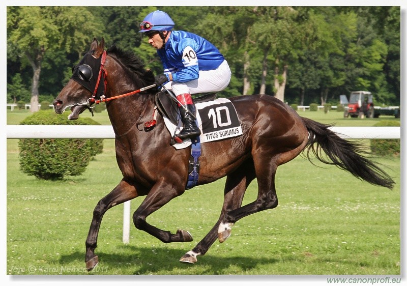 Bratislava - 5. jna 2011 