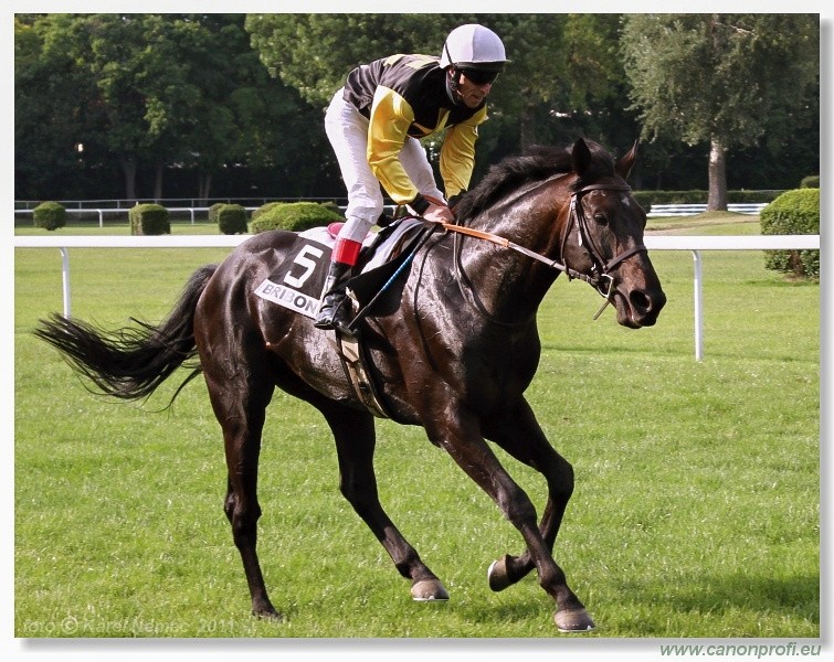 Bratislava - 5. jna 2011 