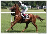 Cena Lalique Equus 