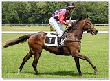 Cena Lalique Equus 