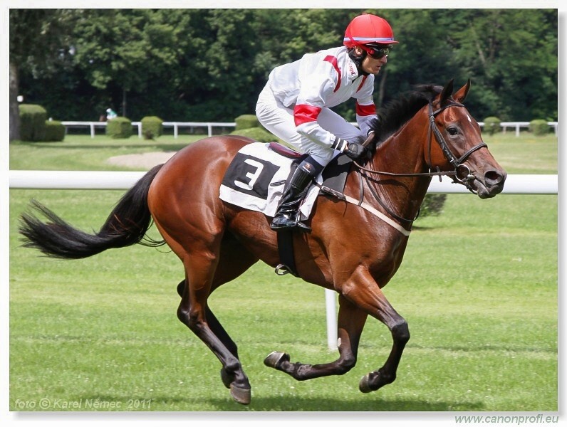 Bratislava - 26. jna 2011 