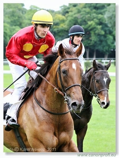 Bratislava - 26. jna 2011 