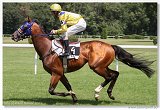Cena Lalique Equus 