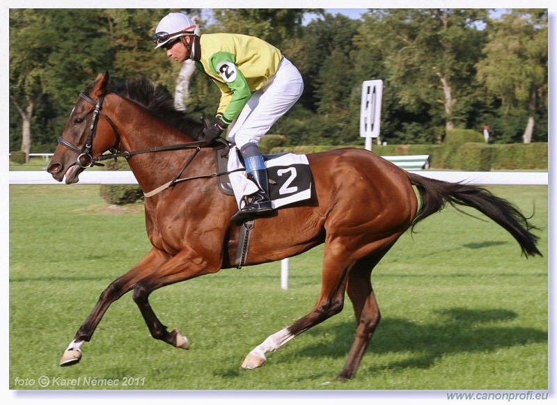 Bratislava - 28. augusta 2011 