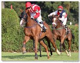 Vek starohjska steeplechase 