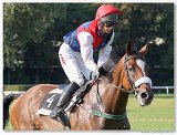 Vek starohjska steeplechase 