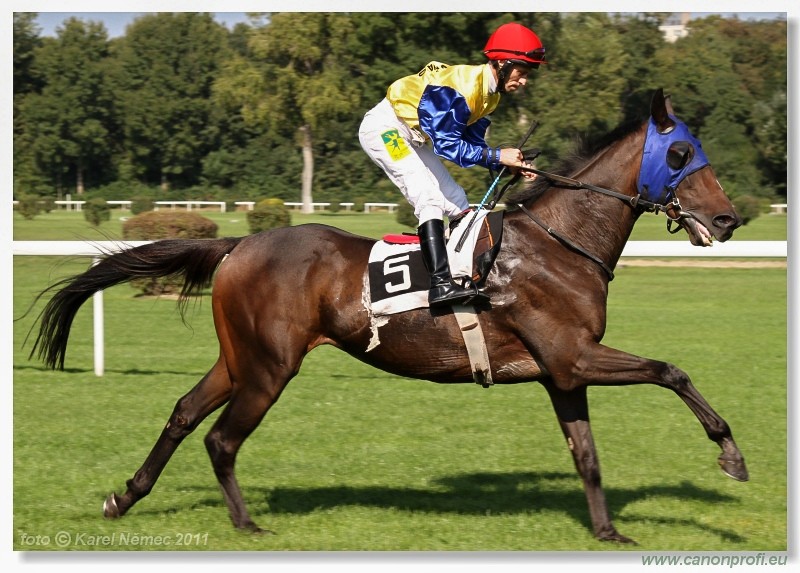 Bratislava - 25. septembra 2011 