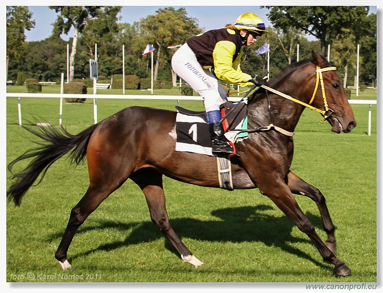 Bratislava - 25. septembra 2011 
