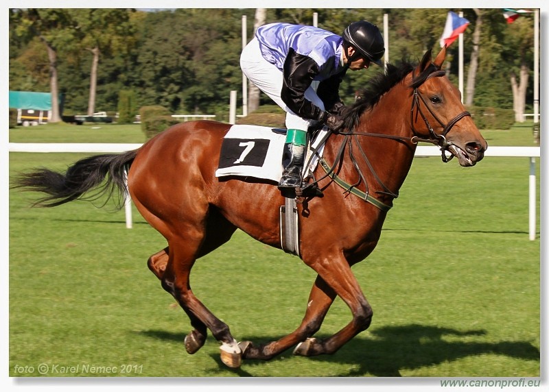Bratislava - 25. septembra 2011 