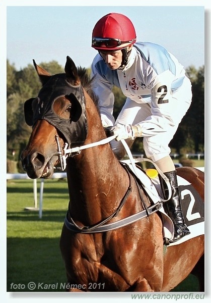 Bratislava - 16. oktbra 2011 