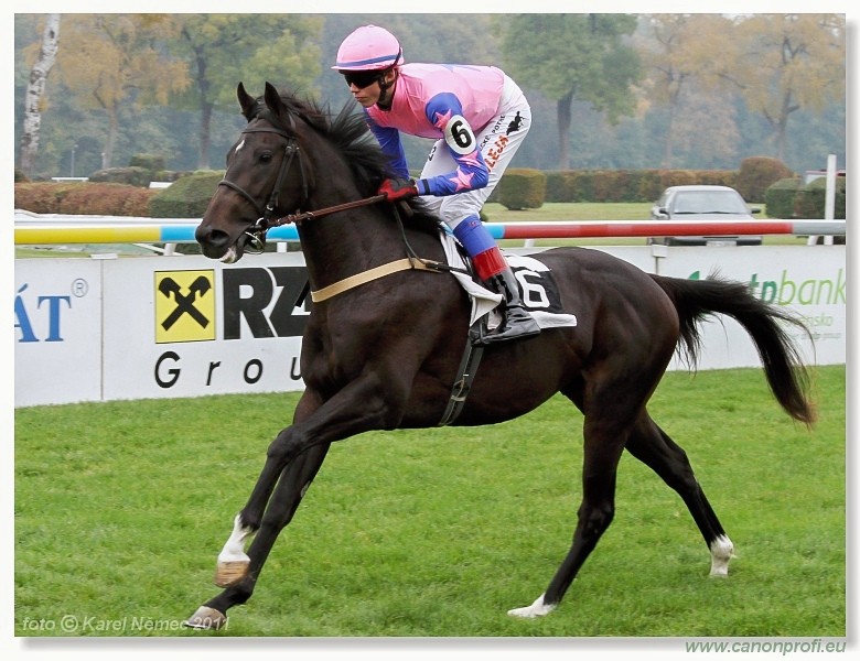 Bratislava - 30. oktbra 2011 