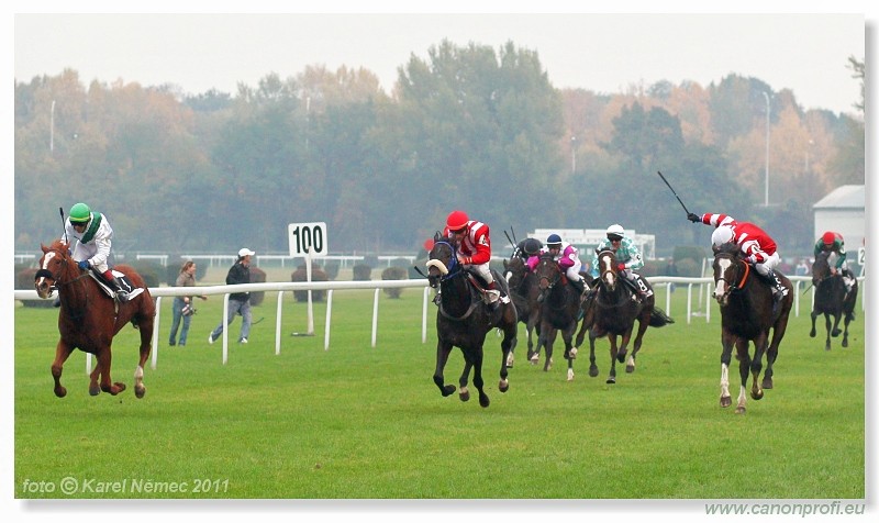 Bratislava - 30. oktbra 2011 
