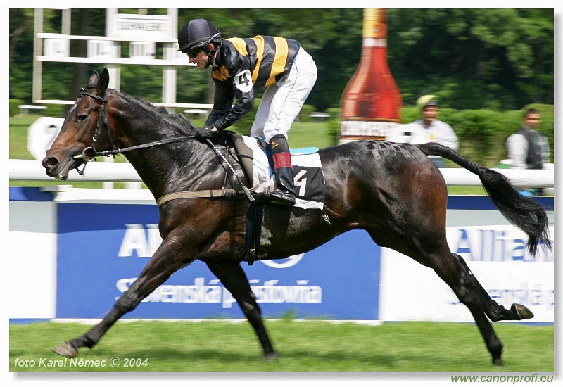 Bratislava - 06. júna 2004
