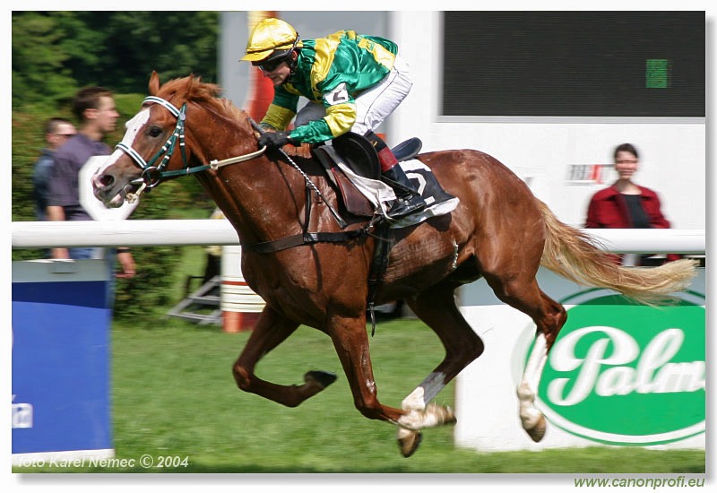 Bratislava - 06. júna 2004