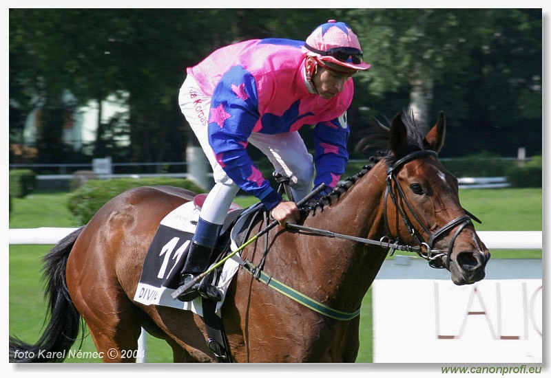 Bratislava - 06. júna 2004