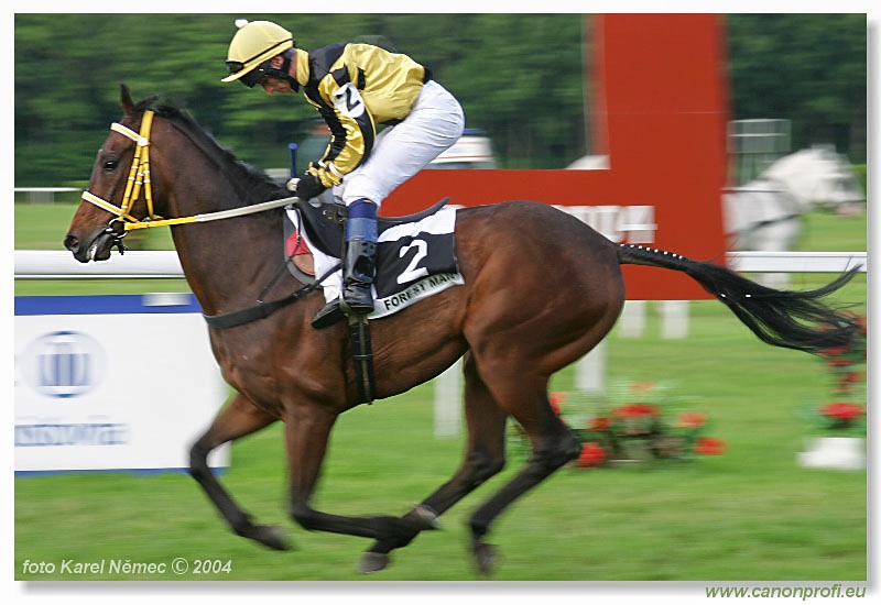 Bratislava - 06. júna 2004