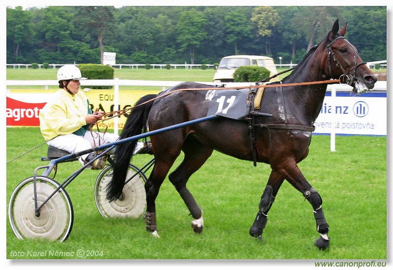 Bratislava - 27. júna 2004