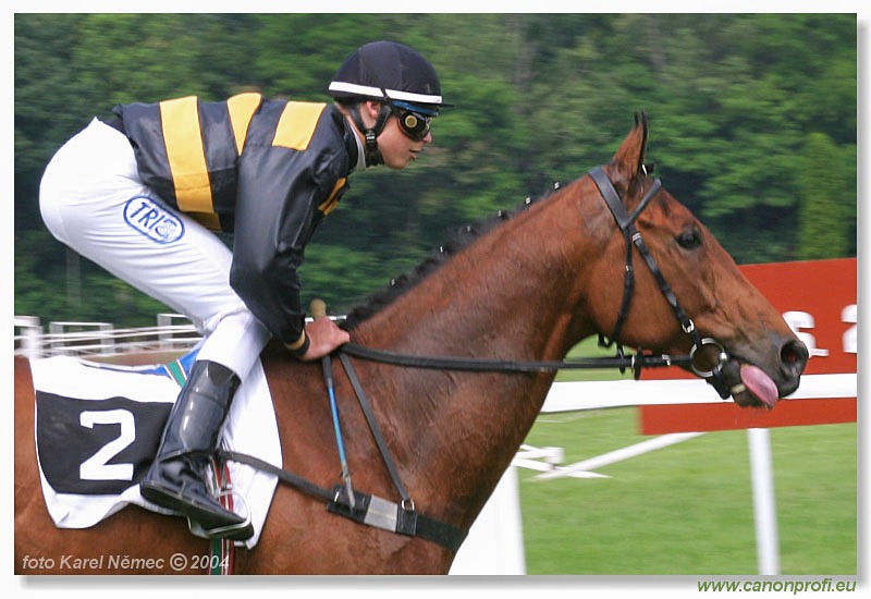 Bratislava - 27. júna 2004
