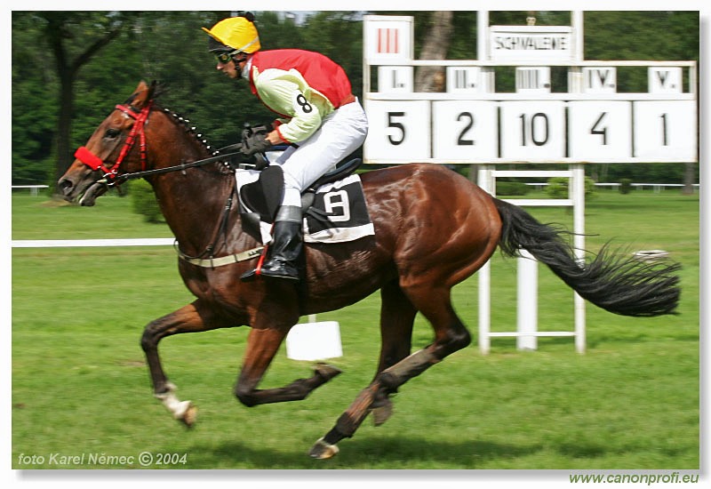 Bratislava - 27. júna 2004
