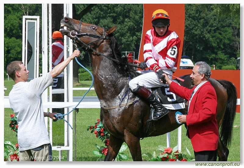 Bratislava - 27. júna 2004