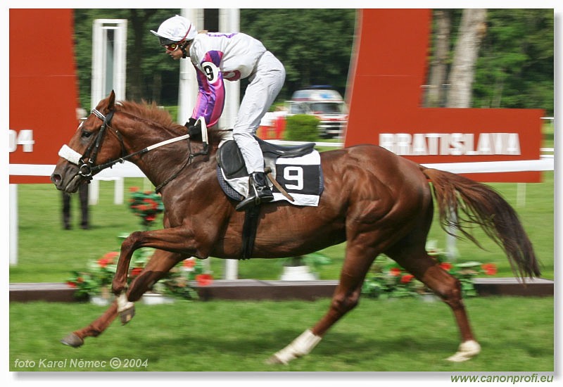 Bratislava - 27. júna 2004