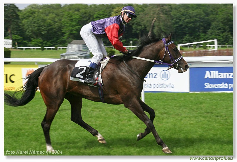 Bratislava - 27. júna 2004