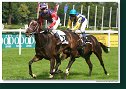 Derby–Trial 