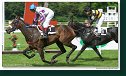 Derby–Trial 