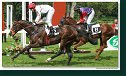 Derby–Trial 
