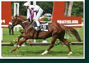 Derby–Trial 