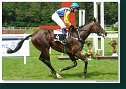 Derby–Trial 