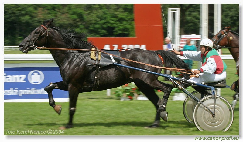 Bratislava - 04. júla 2004