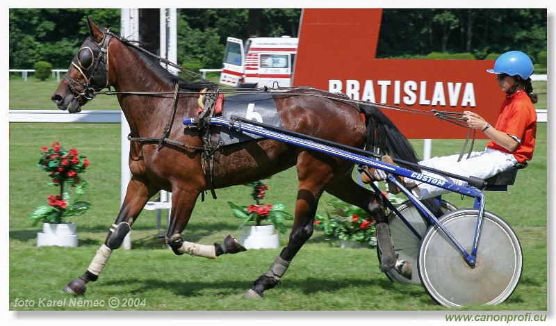 Bratislava - 04. júla 2004