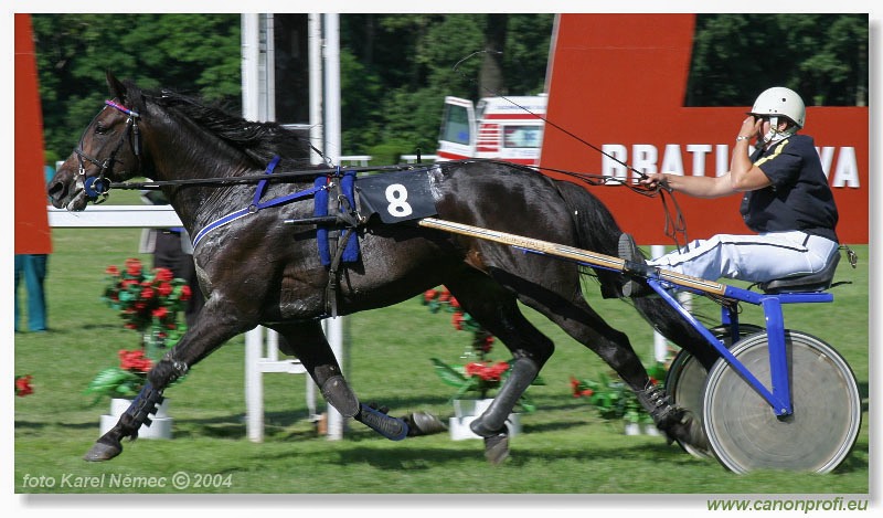 Bratislava - 04. júla 2004