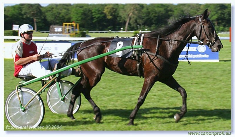 Bratislava - 04. júla 2004