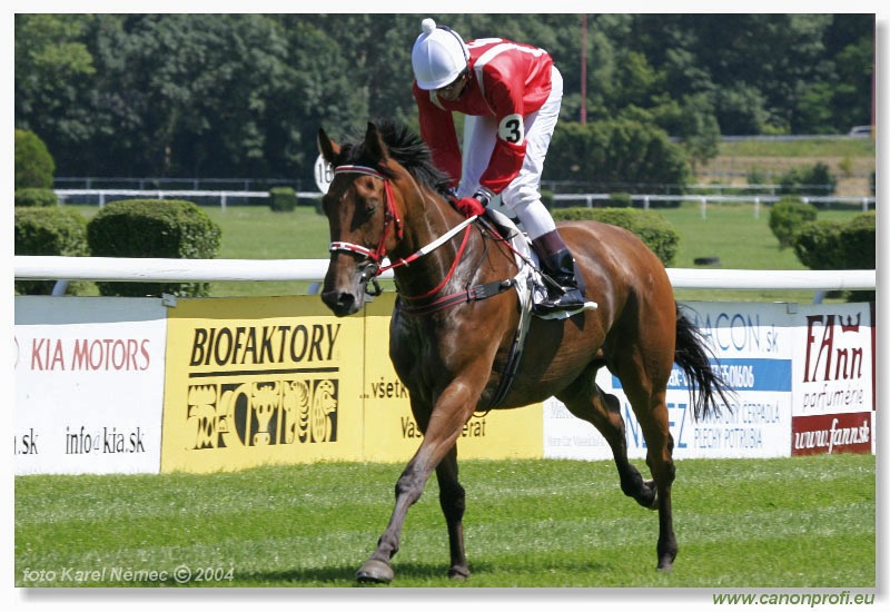 Bratislava - 18. júla 2004
