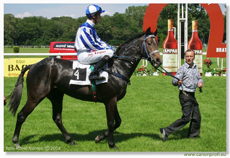 Bratislava - 18. júla 2004