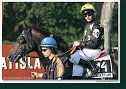 Slovenské derby
