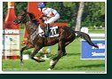 Slovenské derby