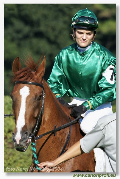 Bratislava - 29. augusta 2004