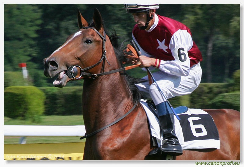 Bratislava - 12. septembra 2004
