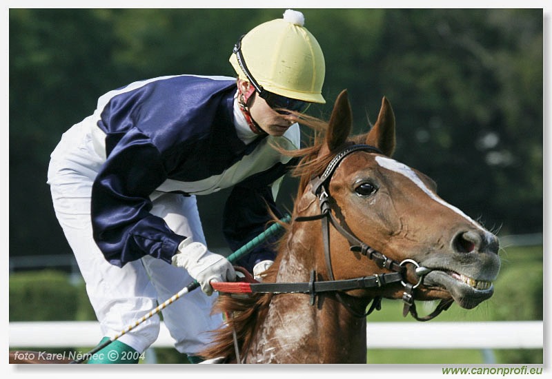 Bratislava - 12. septembra 2004
