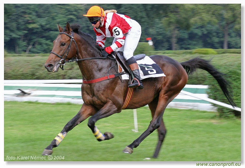Bratislava - 12. septembra 2004