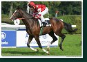 Cena Nutri Horse H 50 Plus