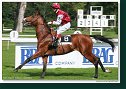 Cena Nutri Horse H 50 Plus
