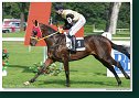 Cena Nutri Horse H 50 Plus