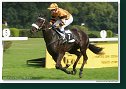 Cena Nutri Horse H 50 Plus