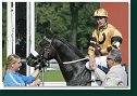 Cena Nutri Horse H 50 Plus